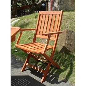 Wood Folding Arm Chair