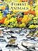 Forest Animals Coloring Book (Dover Nature Coloring Book) by Dianne Gaspas