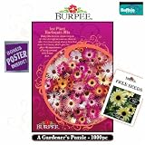 Burpee Ice Plant Harlequin Mix Jigsaw Puzzle 1000pc