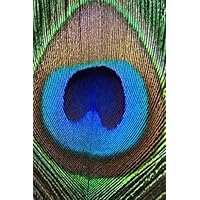 Close up Peacock Feather. - 42'H x 28'W - Peel and Stick Wall Decal by Wallmonkeys
