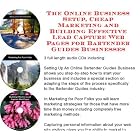 The Online Business Setup, Building Effective Lead Capture Web Pages, Local Marketing for... by Bartender's Guides