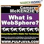 What is WebSphere? Java, J2EE, Portal and Beyond! (Demystifying IBM's Middle Tier Technology)