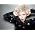 Vignette de Robyn