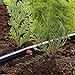 GARDENA 1346-U 1/12-Inch By 49-Feet Main Pipe for Micro Drip System