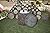 SURREAL Stump Cooler Stump Cooler, 90-Quart, Oak