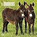 Donkeys - 2016 Calendar 12 x 12in