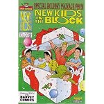 The New Kids on the Block, Nkotb #4 Special Holiday Issue (Comic Book) book cover