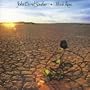 Faithless Love (Album Version)
