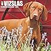 2016 Just Vizslas Wall Calendar