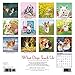2017 What Dogs Teach Us Mini Wall Calendar