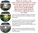 The Ultimate Generate Extra Cash, Success Principles and Accounting & Finance for Credit Repair Courses Web Biz 3 Course + Resource Guide