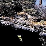 World Class Listening Problem