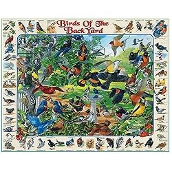 Birds of the Back Yard 1000 Piece Jigsaw Puzzle by White Mountain