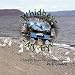 Book Whidbey -- My Eye