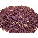 紅茶　キャラメルプリン　 50g CTC