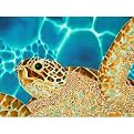 Sparkling Caribbean Canvas Wall Art - 31x23"