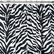 Zebra Shower Curtain Zebra Shower Curtain