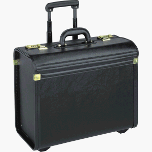 Vinyl Rolling Catalog Case