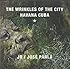 JR & Jos&eacute; Parl&aacute;: Wrinkles of the City, Havana, Cuba