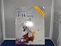 Colors & Markings of the F-14 Tomcat, Part 1: Atlantic Coast Markings the First Ten Years 1974-1984 - C&M Vol. 2