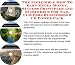 The Incredible How To Earn Extra Money, Success Principles and eCommerce for Nail Clippers Businesses 3 CD Power Pack