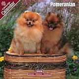 2009 Pomeranian Wall Calendar