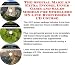 The Special Make An Extra Income, Inner Game and Sales Models for Strollers On-line Businesses 3 CD Course