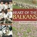 �ޥ��ɥ˥��Υ����ǥ��󥰡����� [���ܸ�����͢����] [Import CD from UK] (HEART OF THE BALKANS : Makedonian Wedding Songs)