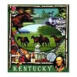 Kentucky Coverlet