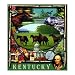Kentucky Coverlet