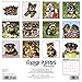 2016 Just Yorkie Puppies Wall Calendar