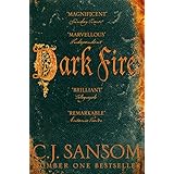 dark fire the shardlake series