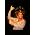 Vignette de Celia Cruz