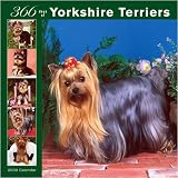 366 Days of Yorkshire Terriers 2008 Wall Calendar