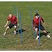 Kwik Goal Coaching Sticks