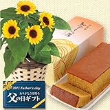 �y���̓��M�t�g�z�Ђ܂�蔫�A������J�X�e���̃Z�b�g�y����6/13-6/16���������z