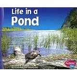 Life in a Pond (Living in a Biome)