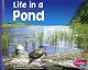 Life in a Pond (Pebble Plus)