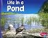 Life in a Pond (Pebble Plus: Living in a Biome)