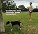 Q Global Dog Leash - Pet Supplies for Dogs Leashes - Dog Leash 2 Handles - 1 Leash 2 Handles - Dog Training Leash - Extra Strong Large Dogs