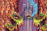 Donkey Kong Country 3
