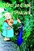 Search : How To Cook A Peacock: Le Viandier: Medieval Recipes From The French Court