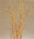 Green Earth Accents Curly Willow 4 Feet Tall, Package of 12