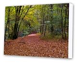 Review Eyes Wide Digital Ltd  / Friday street forest in Autumn canvas print artwork