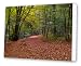 Kitchen & Housewares : Friday street forest in Autumn canvas print artwork