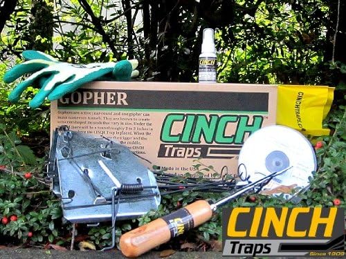 Gopher Trap Deluxe Kit - CINCH Deluxe Kit With 3 Traps, Instructional DVD and Brochure, Maintenance Spray and Marker Flags - Made in America