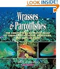Wrasses & Parrotfishes...