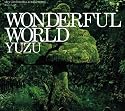 WONDERFUL WORLD(初回限定盤)(DVD付)