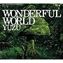 WONDERFUL WORLD(��������)(DVD�t)