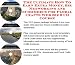 The Ultimate How To Earn Extra Money, Biz Networking and eCommerce for Floral Crafts Web Biz 3 CD Course